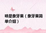 啥是象牙果（象牙果简单介绍）
