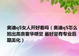 奥迪q5女人开好看吗（奥迪q5怎么拍出高贵奢华感觉 最好是有专业后期美化）