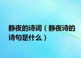 静夜的诗词（静夜诗的诗句是什么）