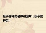 扳手的种类名称和图片（扳手的种类）