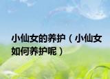 小仙女的养护（小仙女如何养护呢）