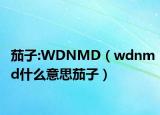 茄子:WDNMD（wdnmd什么意思茄子）