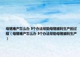母猪难产怎么办 3个办法帮助母猪顺利生产的过程（母猪难产怎么办 3个办法帮助母猪顺利生产）