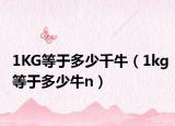 1KG等于多少千牛（1kg等于多少牛n）