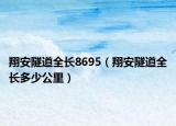 翔安隧道全长8695（翔安隧道全长多少公里）