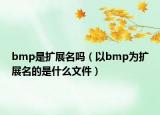 bmp是扩展名吗（以bmp为扩展名的是什么文件）