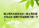 脸上毛孔大该怎么办（脸上毛孔很大怎么办 这两个方法快来了解一下）