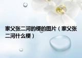 家父张二河的梗的图片（家父张二河什么梗）