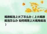 嘴唇起泡上火了怎么办（上火嘴唇起泡怎么办 如何调理上火嘴角起泡）