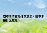 剧本杀阵营是什么意思（剧本杀是什么意思）