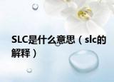 SLC是什么意思（slc的解释）