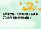 台风来了有什么防范措施（台风来了怎么办 要做好哪些措施）