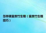 怎样使富贵竹生根（富贵竹生根技巧）