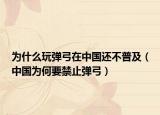 为什么玩弹弓在中国还不普及（中国为何要禁止弹弓）