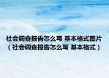 社会调查报告怎么写 基本格式图片（社会调查报告怎么写 基本格式）