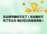 音量调节图标不见了（音量图标不见了怎么办 我们可以先找找原因）