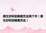 男生好听的唯美艺名两个字（男生好听的唯美艺名）