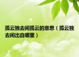孤云独去闲孤云的意思（孤云独去闲出自哪里）