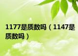 1177是质数吗（1147是质数吗）