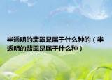 半透明的翡翠是属于什么种的（半透明的翡翠是属于什么种）