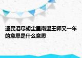 遗民泪尽胡尘里南望王师又一年的意思是什么意思