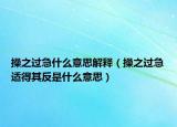 操之过急什么意思解释（操之过急适得其反是什么意思）