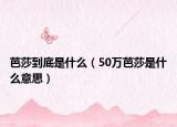 芭莎到底是什么（50万芭莎是什么意思）