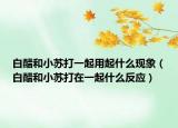 白醋和小苏打一起用起什么现象（白醋和小苏打在一起什么反应）