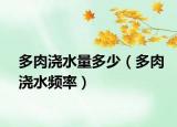 多肉浇水量多少（多肉浇水频率）