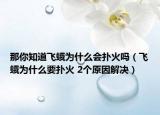 那你知道飞蛾为什么会扑火吗（飞蛾为什么要扑火 2个原因解决）