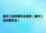 崩坏三如何看实名信息（崩坏三如何看实名）
