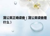 蒲公英正确读音（蒲公英读音是什么）