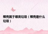椰壳属于哪类垃圾（椰壳是什么垃圾）