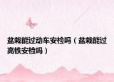 盆栽能过动车安检吗（盆栽能过高铁安检吗）