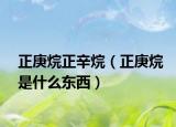 正庚烷正辛烷（正庚烷是什么东西）