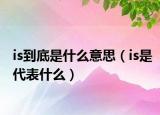 is到底是什么意思（is是代表什么）