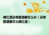喝红酒没有醒酒器怎么办（没有醒酒器怎么醒红酒）