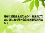 养在缸里的鱼生病怎么办?（鱼生病了怎么办 渔缸渔池等养鱼的容器要经常清洗吗）