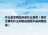 什么是交桃花运是什么意思（男女之事为什么叫桃花运而不是叫菊花运）