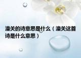 潼关的诗意思是什么（潼关这首诗是什么意思）