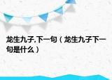 龙生九子,下一句（龙生九子下一句是什么）