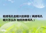 脸颊毛孔变粗大的原因（两颊毛孔粗大怎么办 如何改善毛孔）