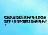 樱花飘落的速度是多少是什么动漫里的?（樱花飘落的速度到底是多少）