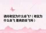请问老鼠为什么会飞?（老鼠为什么会飞 是真的会飞吗）