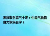 家族取名霸气十足（生霸气独具魅力家族名字）