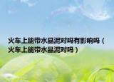 火车上能带水晶泥对吗有影响吗（火车上能带水晶泥对吗）