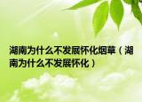 湖南为什么不发展怀化烟草（湖南为什么不发展怀化）