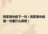 败絮其中的下一句（败絮其中的前一句是什么意思）