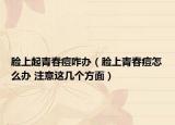 脸上起青春痘咋办（脸上青春痘怎么办 注意这几个方面）