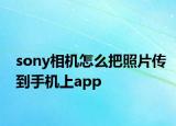 sony相机怎么把照片传到手机上app